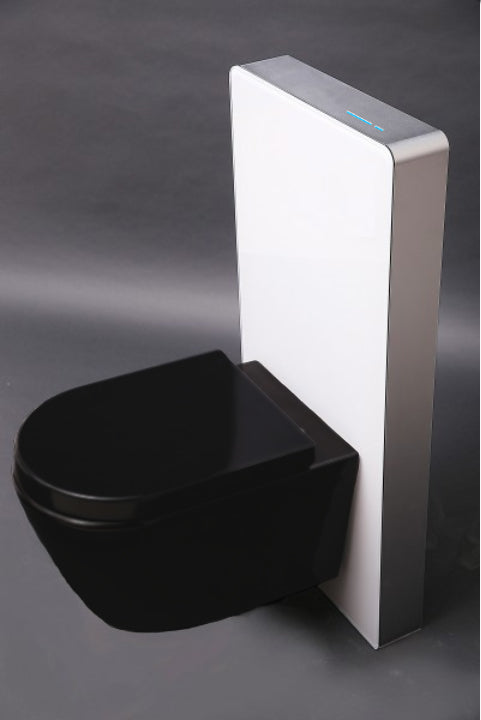 WC komplett paket 39: WC B-8030R Svart