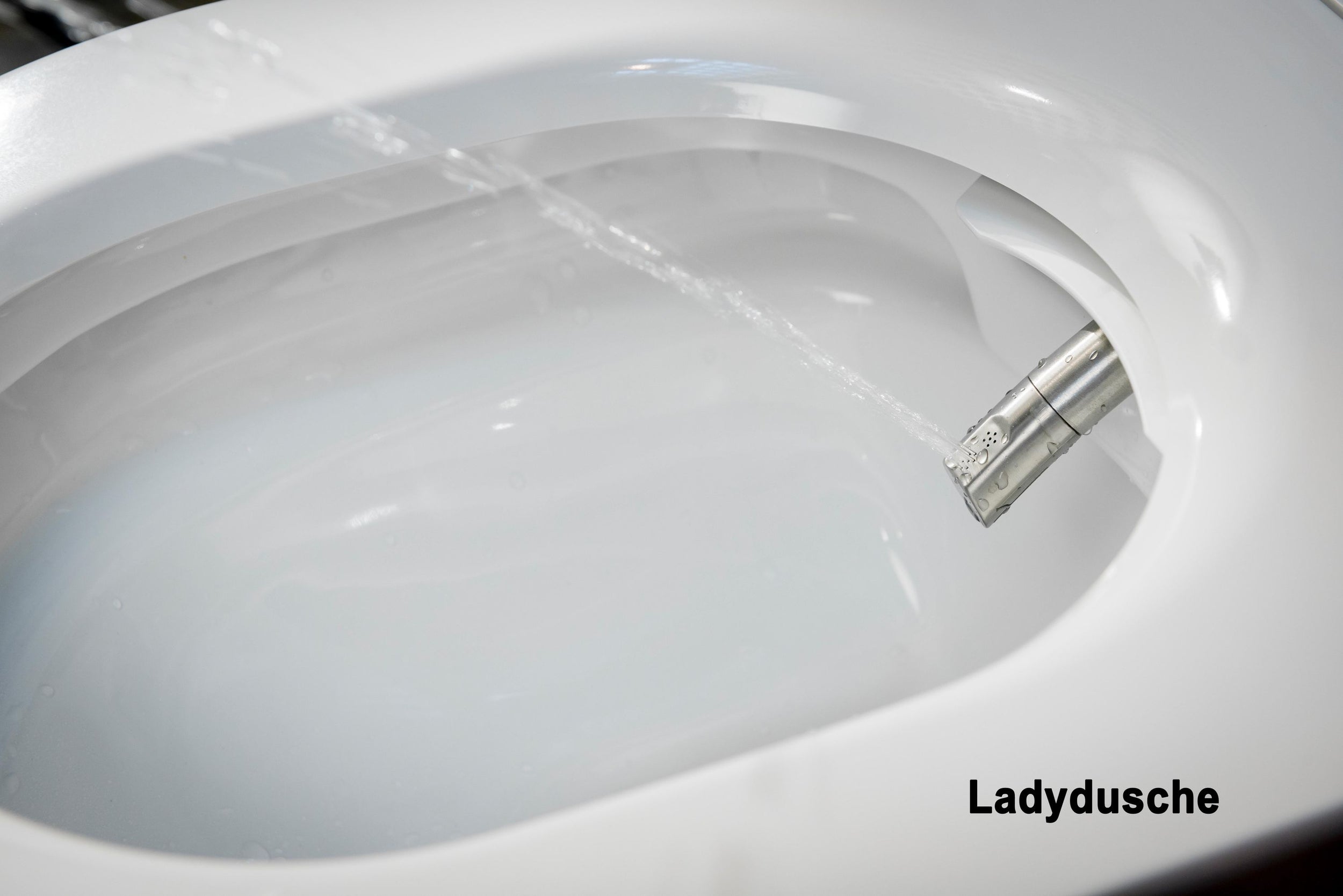 WC sparpaket 7: Dusch toalett Basic 1102