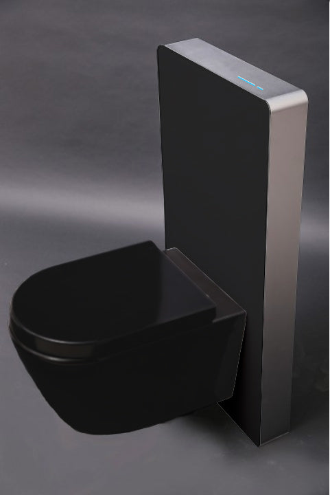 WC komplett paket 33: WC B-8030R Svart