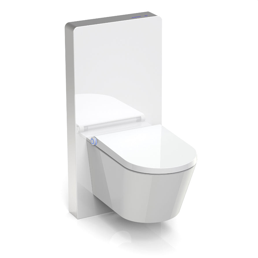 Komplett WC-paket 36: DUSCH-WC Basic 1102