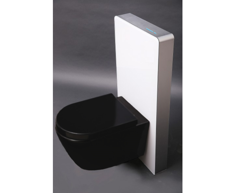 WC komplett paket 39: WC B-8030R Svart