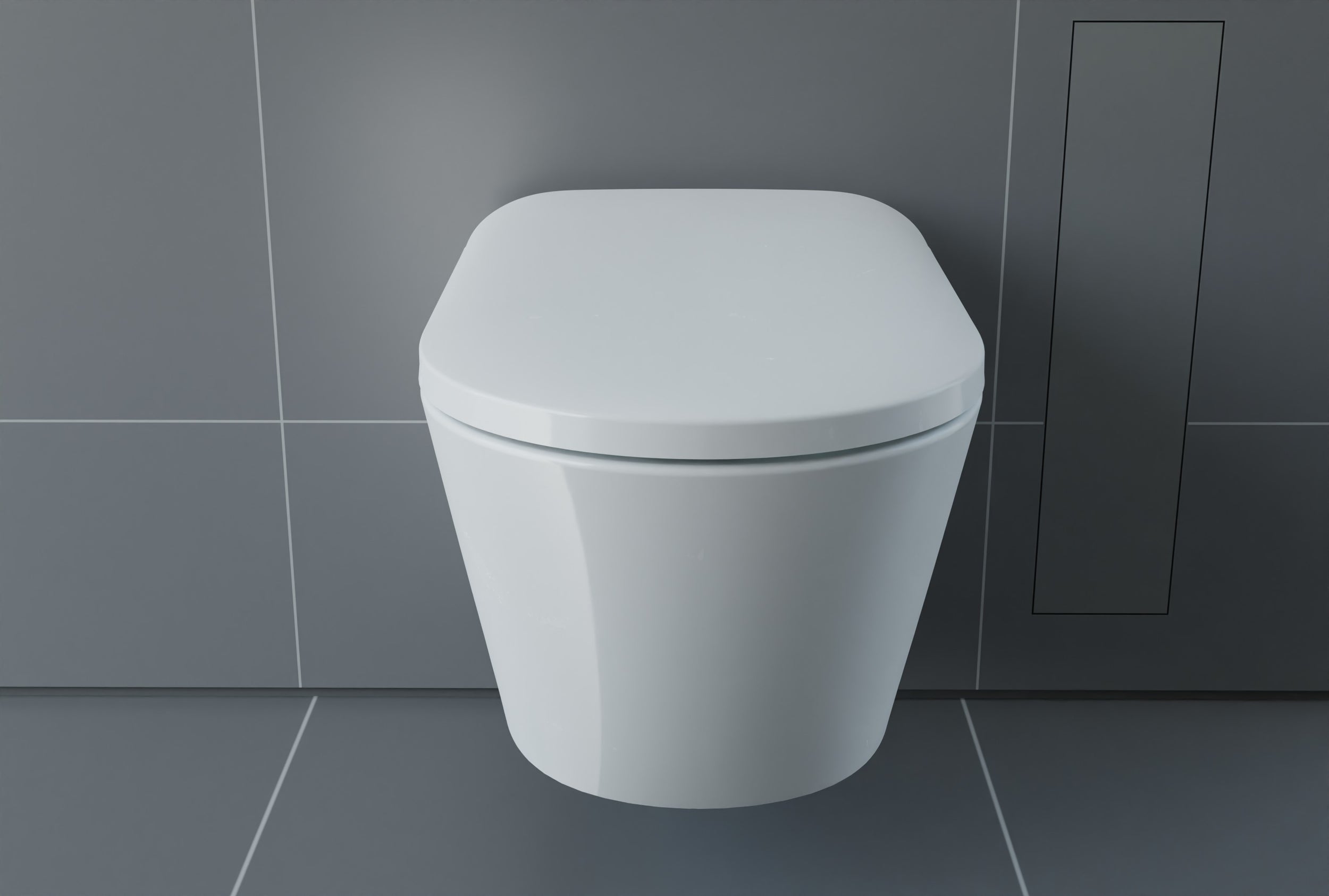 Dusch-WC komplett set T640 PRO med Geberit Duofix för väggmontering
