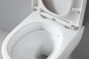 Komplett WC-paket 41: WC NT2039 Vit